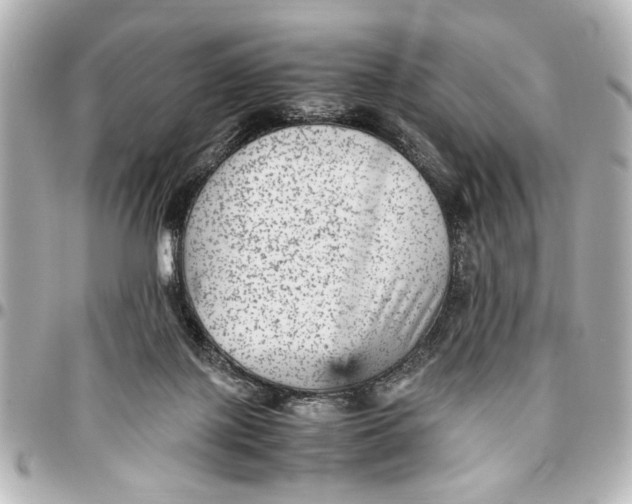 X0000096730075200802261503