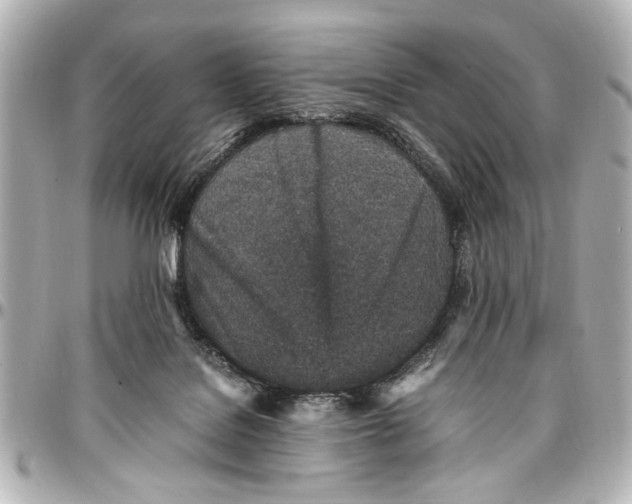 X0000096730076200802261503