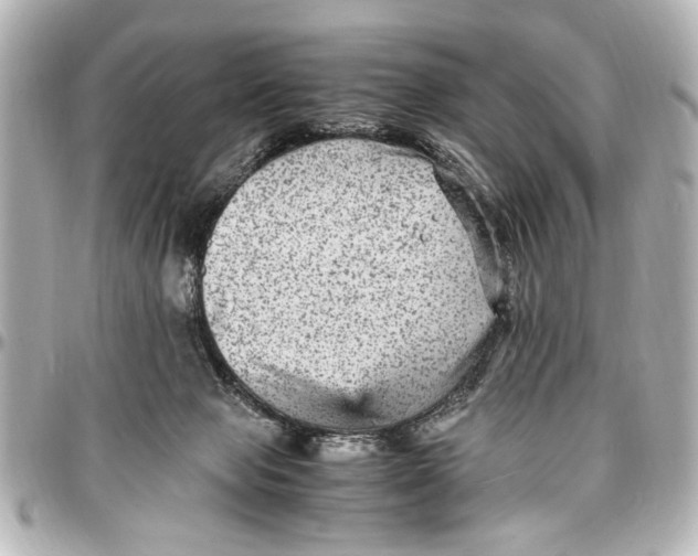 X0000096730077200802261503