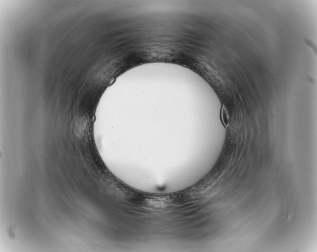 X0000096730079200802261503