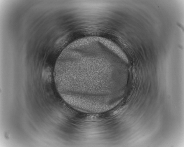 X0000096730080200802261503
