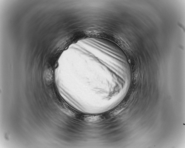 X0000096730081200802261503