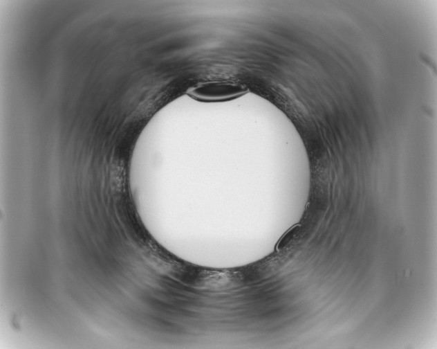 X0000096730083200802261503