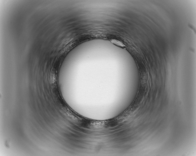 X0000096730084200802261503