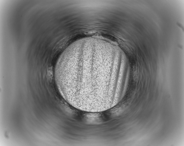 X0000096730085200802261503