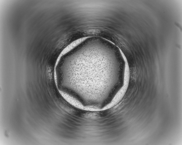X0000096730086200802261503