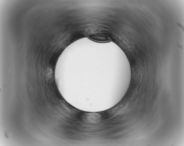 X0000096730087200802261503