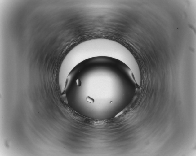 X0000096730088200802261503