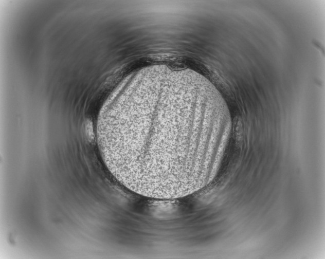 X0000096730089200802261503