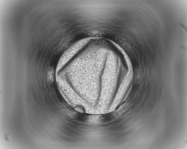 X0000096730090200802261503
