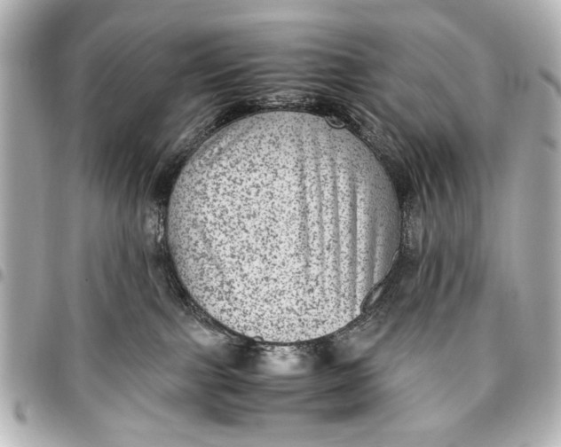 X0000096730091200802261503