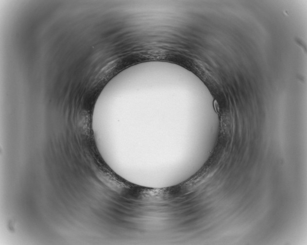 X0000096730092200802261503