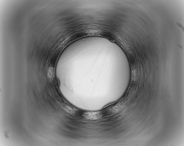 X0000096730093200802261503