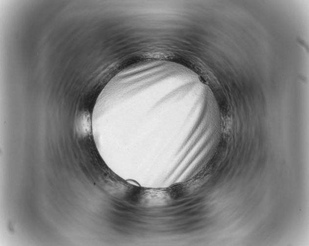 X0000096730095200802261503