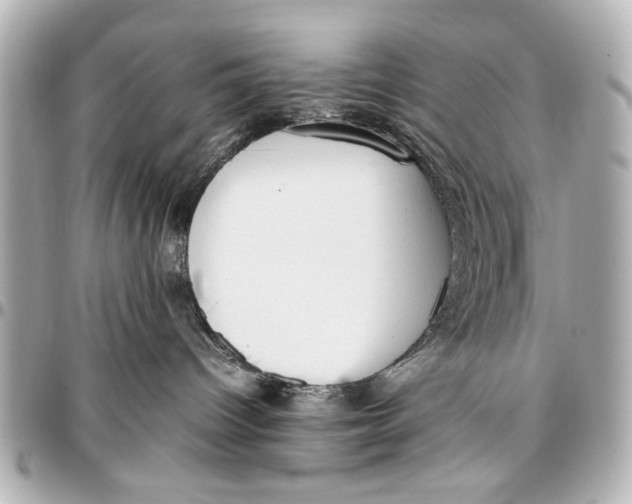 X0000096730096200802261503