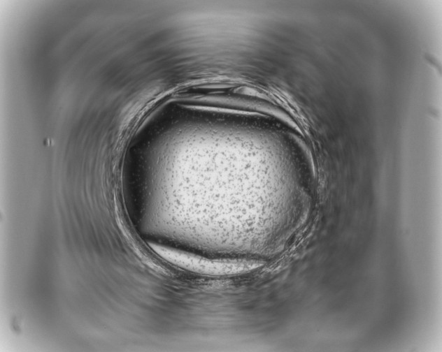 X0000096730097200802261503