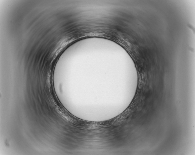 X0000096730098200802261503