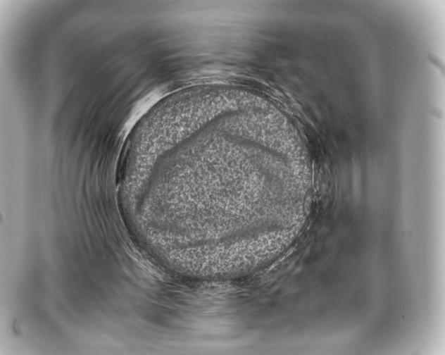 X0000096730099200802261503