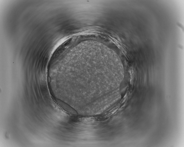 X0000096730100200802261503