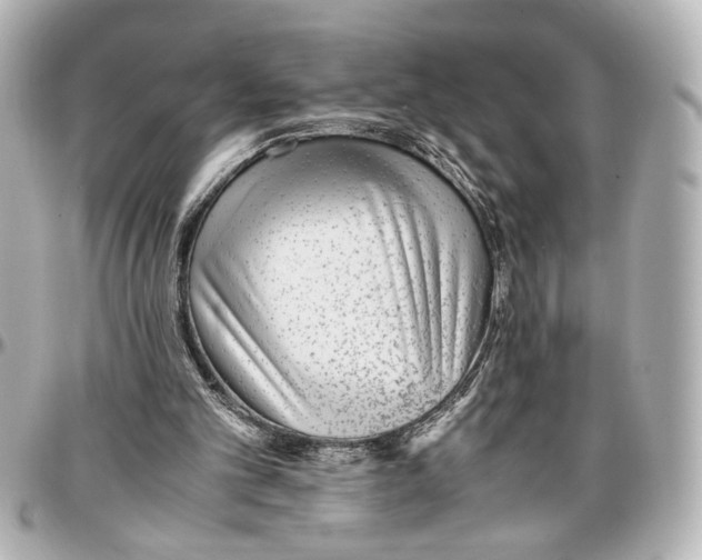 X0000096730101200802261503