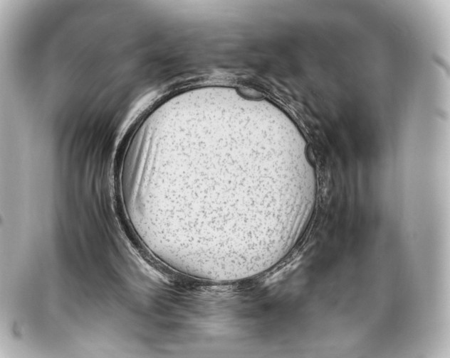 X0000096730102200802261502