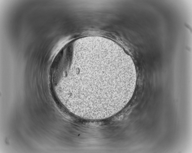 X0000096730103200802261502