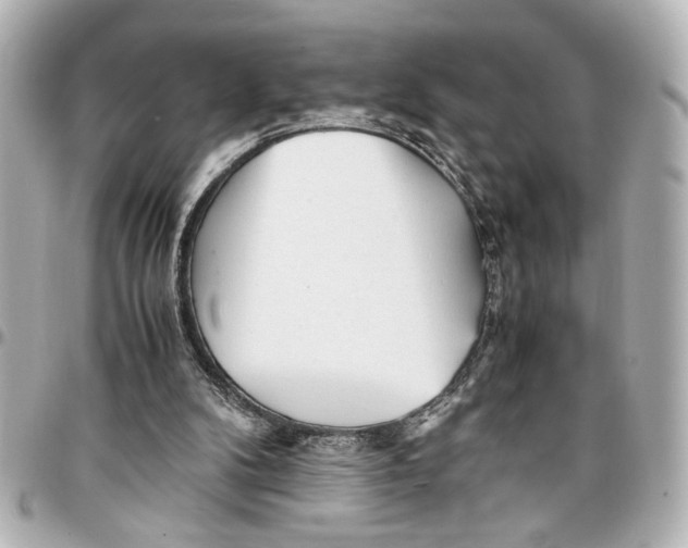 X0000096730104200802261502