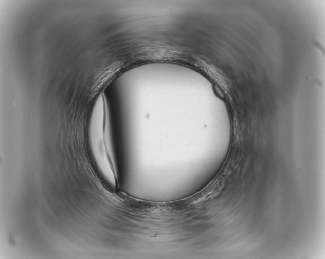 X0000096730105200802261502