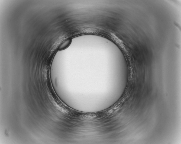 X0000096730106200802261502