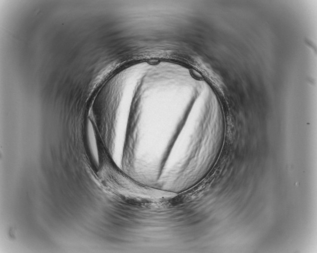 X0000096730107200802261502