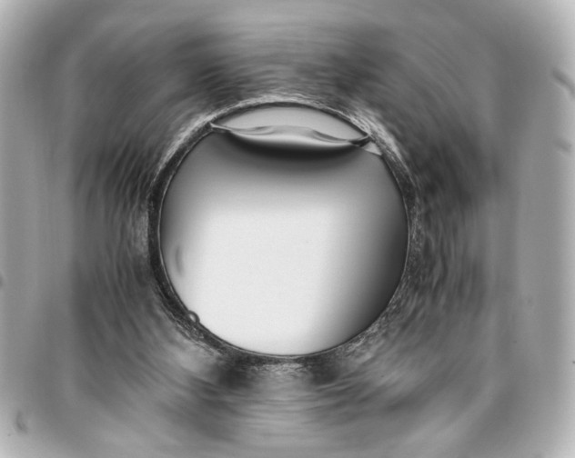 X0000096730108200802261502