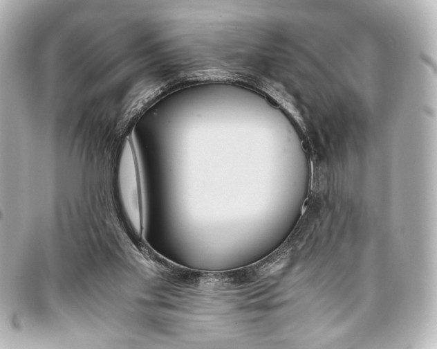 X0000096730109200802261502