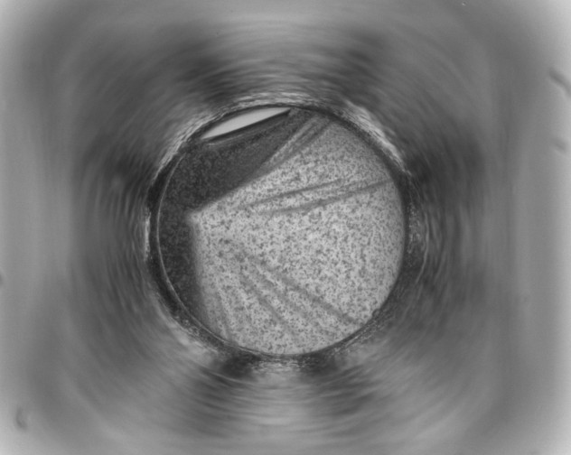 X0000096730110200802261502