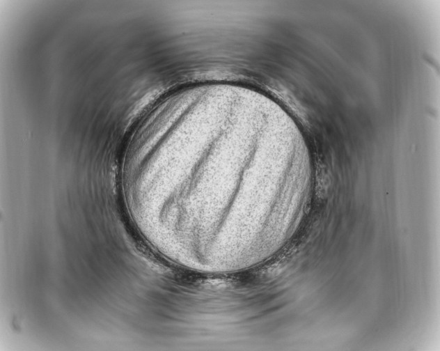 X0000096730111200802261502