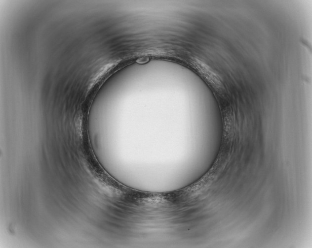 X0000096730112200802261502