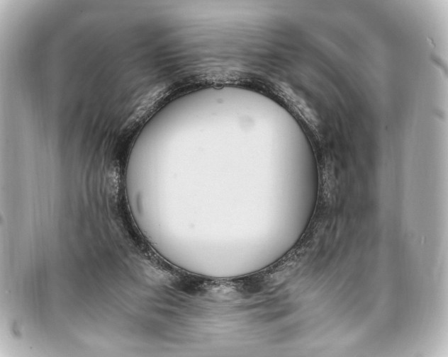 X0000096730113200802261502