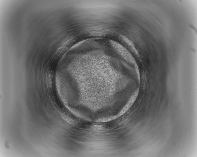 X0000096730114200802261502