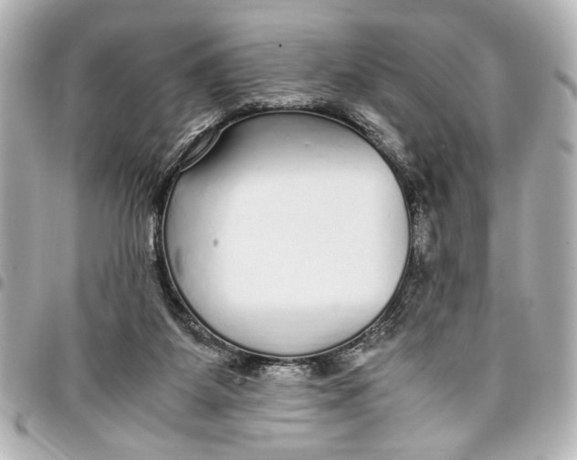 X0000096730115200802261502