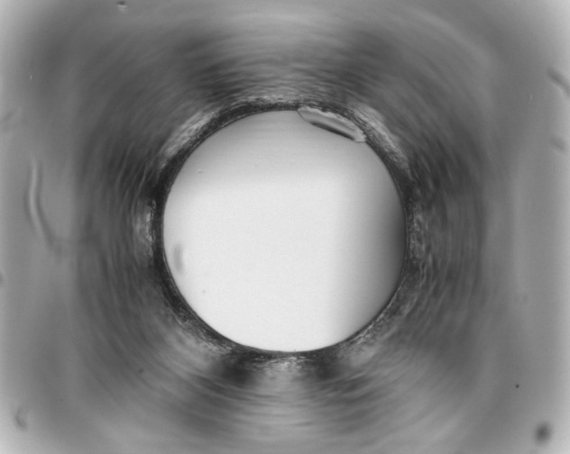 X0000096730116200802261502