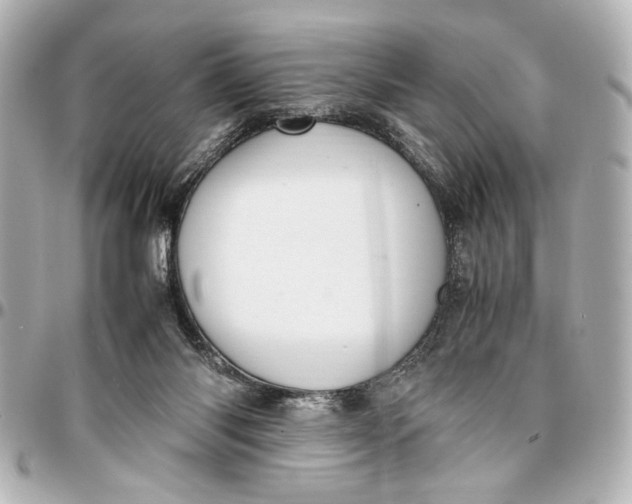 X0000096730118200802261502