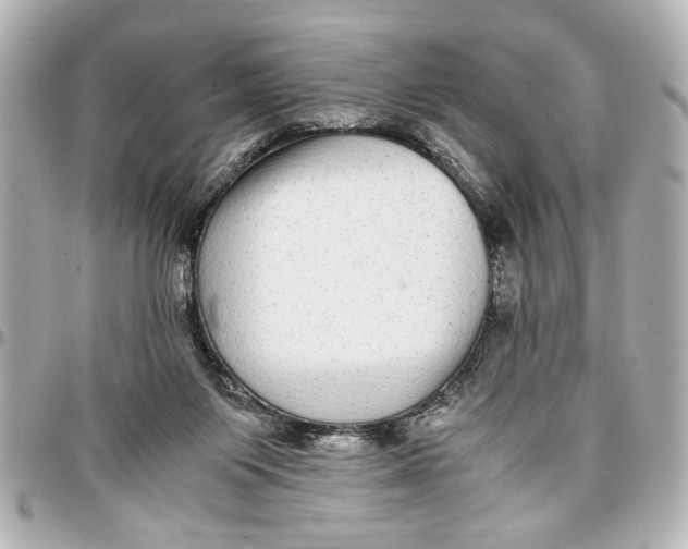 X0000096730119200802261502