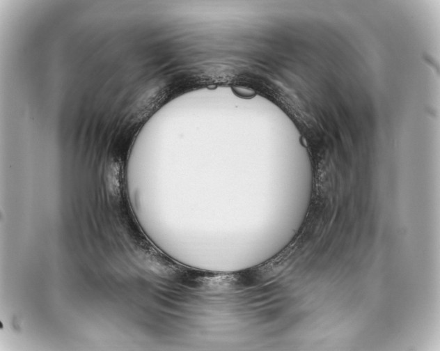 X0000096730122200802261502