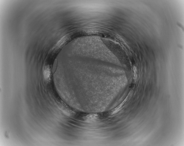 X0000096730124200802261502