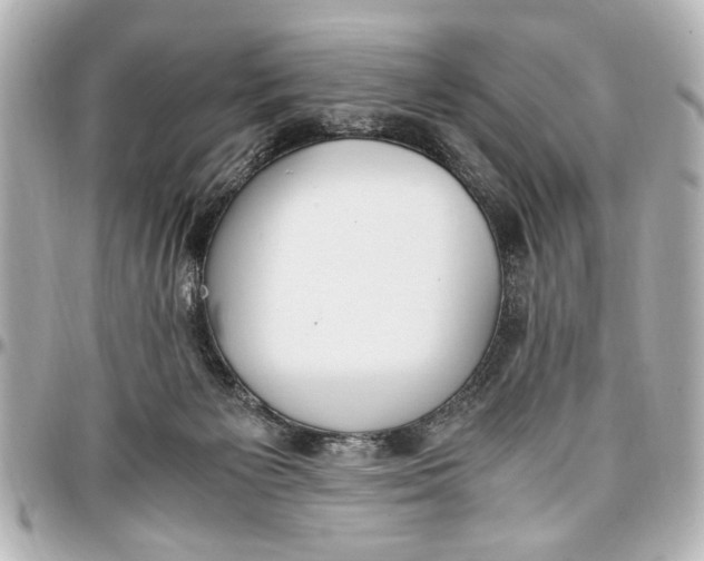 X0000096730125200802261502