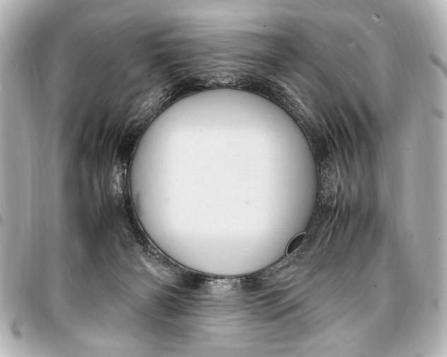 X0000096730126200802261502