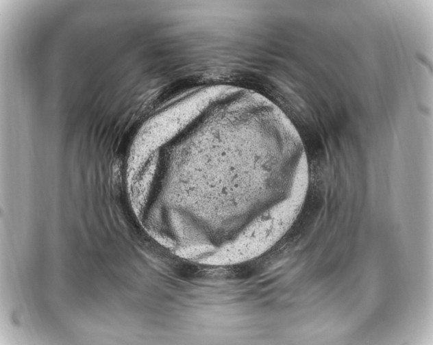 X0000096730127200802261502