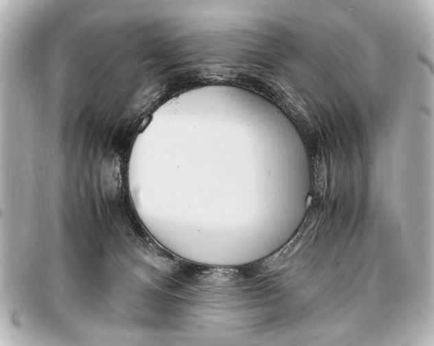 X0000096730128200802261502
