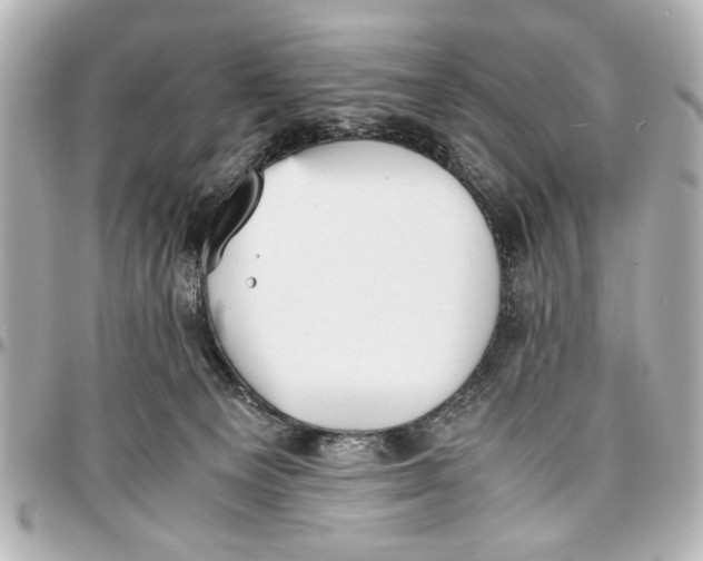 X0000096730129200802261502