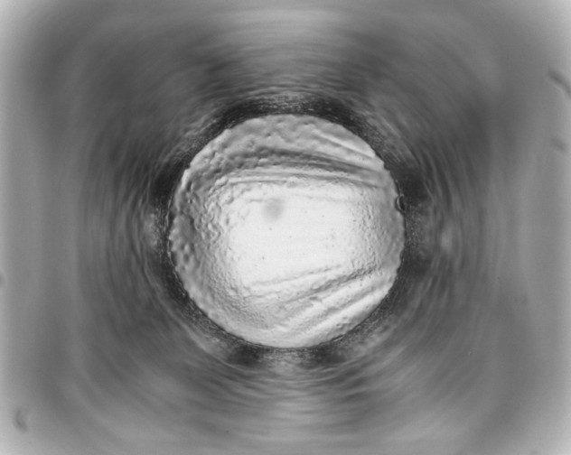 X0000096730131200802261502