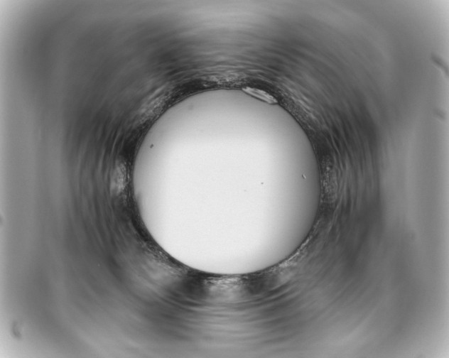 X0000096730132200802261502